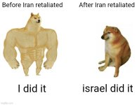 dog.jpeg dog.jpeg