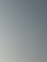 1774713732789.png