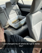 1774826271601.png