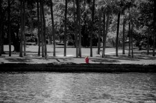 DSC_0267.jpg