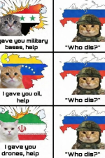 1774883224078.png