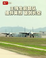 J-15T maybe 9th NAB - 20260401 - 沉默的山羊 - 2.jpg