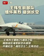 J-15T maybe 9th NAB - 20260401 - 沉默的山羊 - 1.jpg
