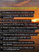 1775069006982.png