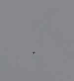 IMG_1123.jpeg