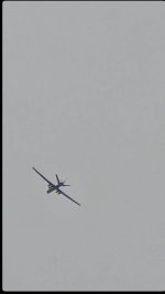 IMG_1122.jpeg