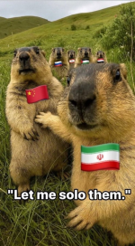 111.png