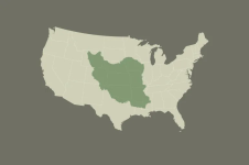 1775402839699.png