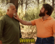 1775605069029.png