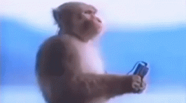 c21de43465e25cafa4bab80fa7311b19.gif