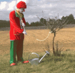 giphy-downsized.gif