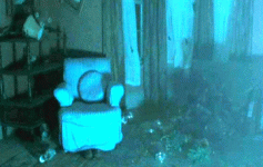 1775856925067.gif