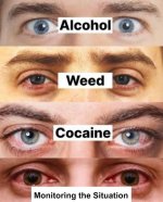 images (24).jpeg