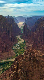 1776120256544.png