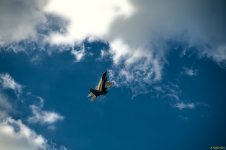 DSC_1021.jpg