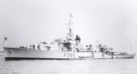zulfiquarmpl2824.jpg