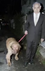 1776531798855.jpeg