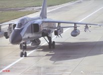 IMG_1973.jpg