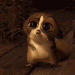annajet.gif