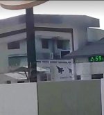 1000123635.jpg
