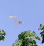 IMG_8581.jpeg