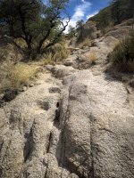 Council Rock-2963.jpg Council Rock-2963.jpg