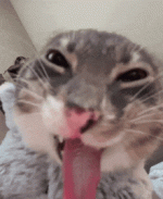 rigby-freaky.gif