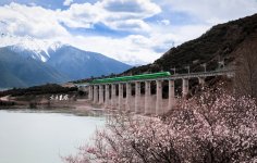 世界领先的的高原双源动车，在林芝花海奔驰_3_京丰某琛de铁道俱乐部_来自小红书网页版.jpg