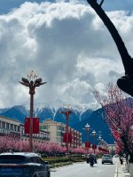 林芝这么漂亮的吗！_1_小鱼爱遛娃_来自小红书网页版.jpg