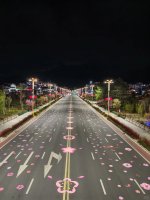 林芝_1_！？。_来自小红书网页版.jpg