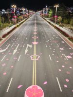 林芝_2_！？。_来自小红书网页版.jpg