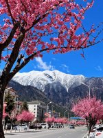 林芝街头的一角_1_芝畔林_来自小红书网页版.jpg