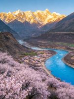 西藏林芝 3-4月封神花期 雪山桃林+藏寨金山_1_渝森去哪玩_来自小红书网页版.jpg