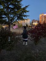 林芝的春夜，桃花没睡🌸_6_野格_来自小红书网页版.jpg