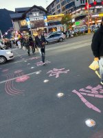 林芝的春夜，桃花没睡🌸_8_野格_来自小红书网页版.jpg