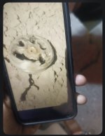 IMG_1703.jpeg