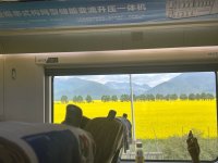 D2701二等座全程挑战成功_1_零距离_来自小红书网页版.jpg