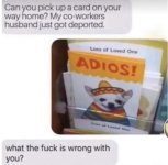 1778393742530.jpeg