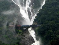 visit-india-in-the-month-of-july.jpg