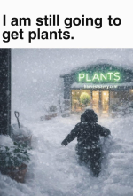 1778780233333.png