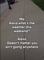 1778783111744.png