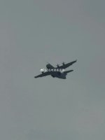 IMG_8892.jpeg