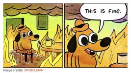 This is fine.jpg