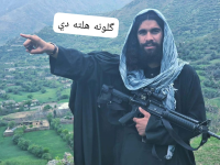 1779077229243.png