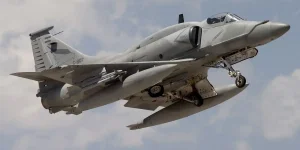Argentine-A-4.webp