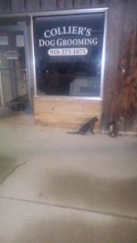 IMG_20260521_040412825.jpg