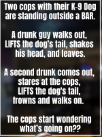 1779533377908.png