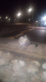 IMG_20260528_031755222.jpg