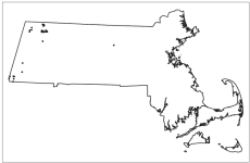oldgrowth.png