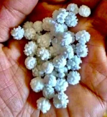 1780147075930.png